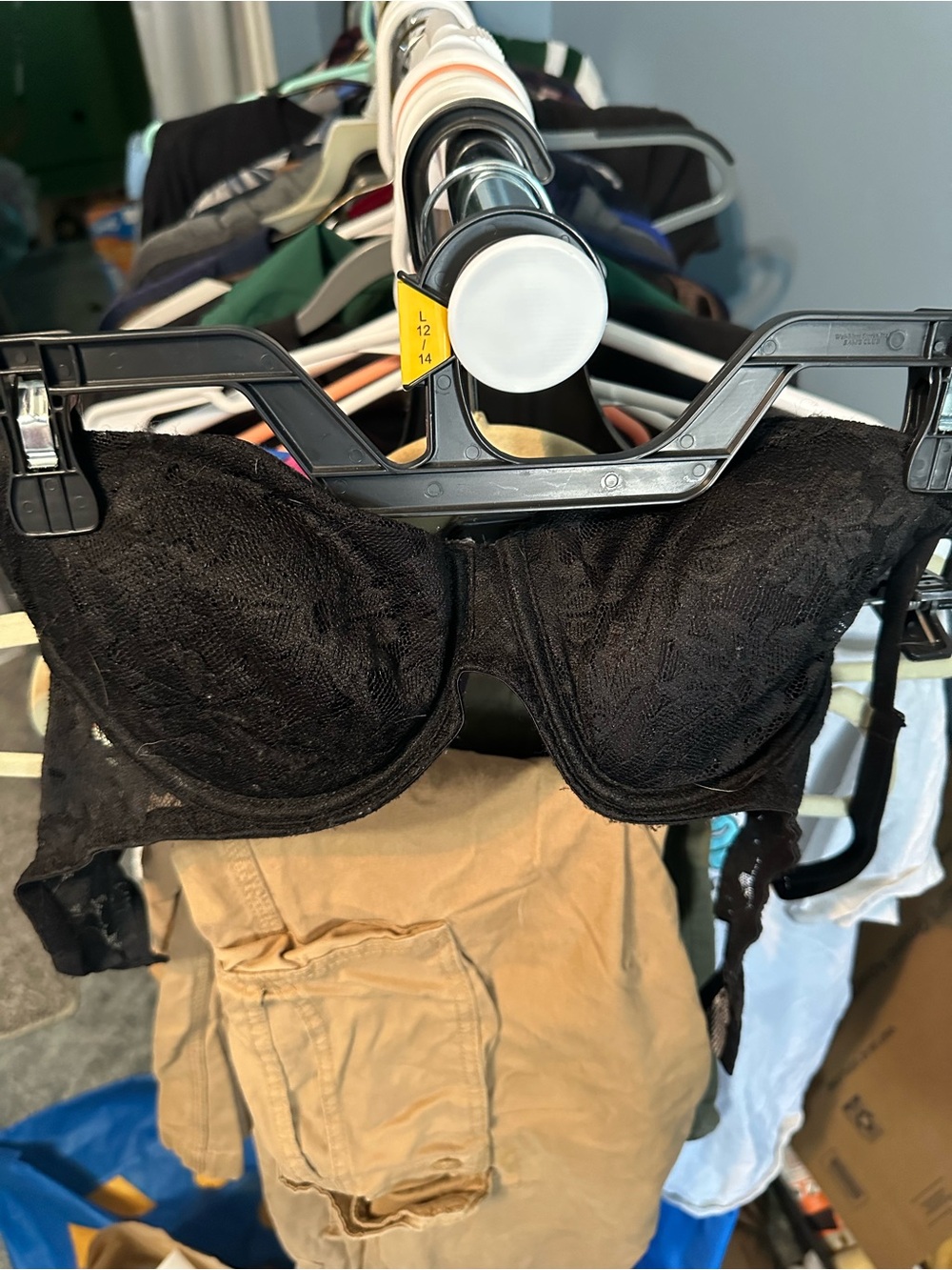 No Boundaries Black Lace Bra 36C